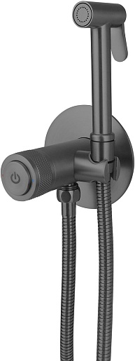 Allen Brau Смеситель с гигиеническим душем Liberty 5.33005-MG (с внутренней частью) графит браш – фото, картинка, фотография-1